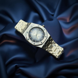 Audemars Piguet Twotone Dial Silver Chain